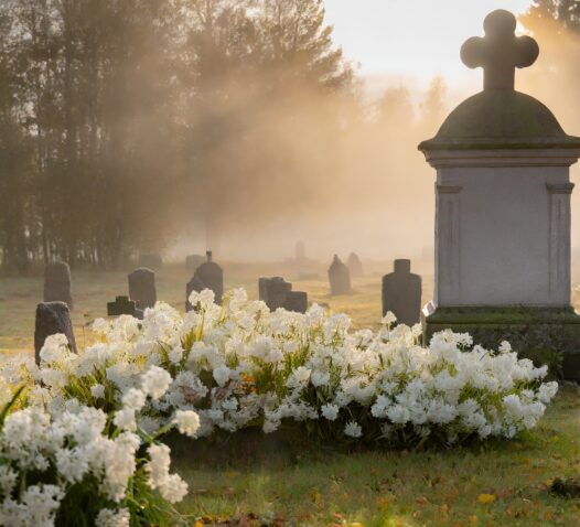 En stor gravsten omgiven av vita blommor på en dimmig kyrkogård vid soluppgången.