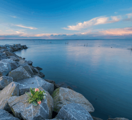 Stenstrand vid havet med en klar blå himmel och rosa solnedgång.