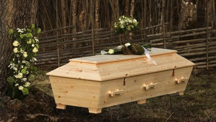 En träkista står utomhus omgiven av vita blommor och en gärdsgård i bakgrunden.